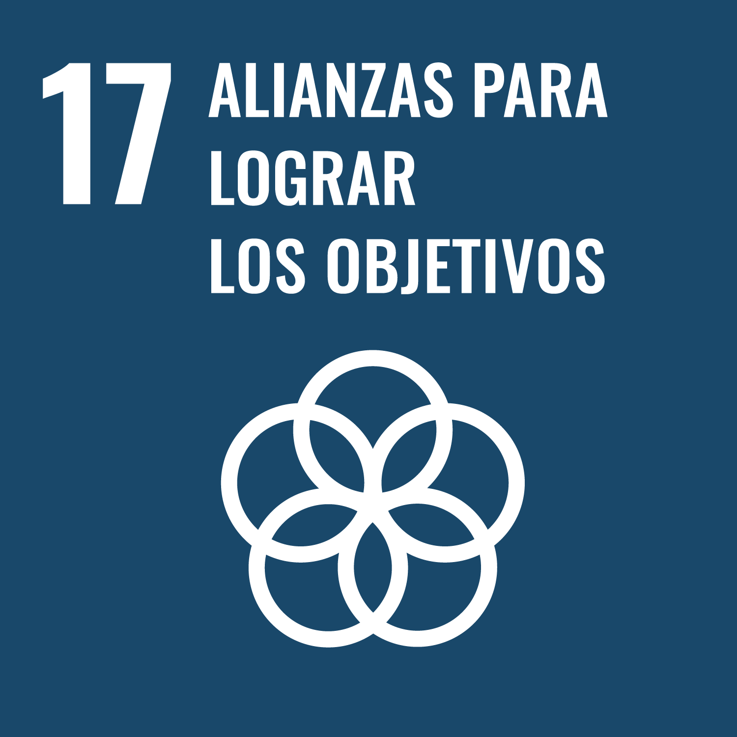 Objetivo de Desarrollo 'Alianzas para lograr los objetivos'