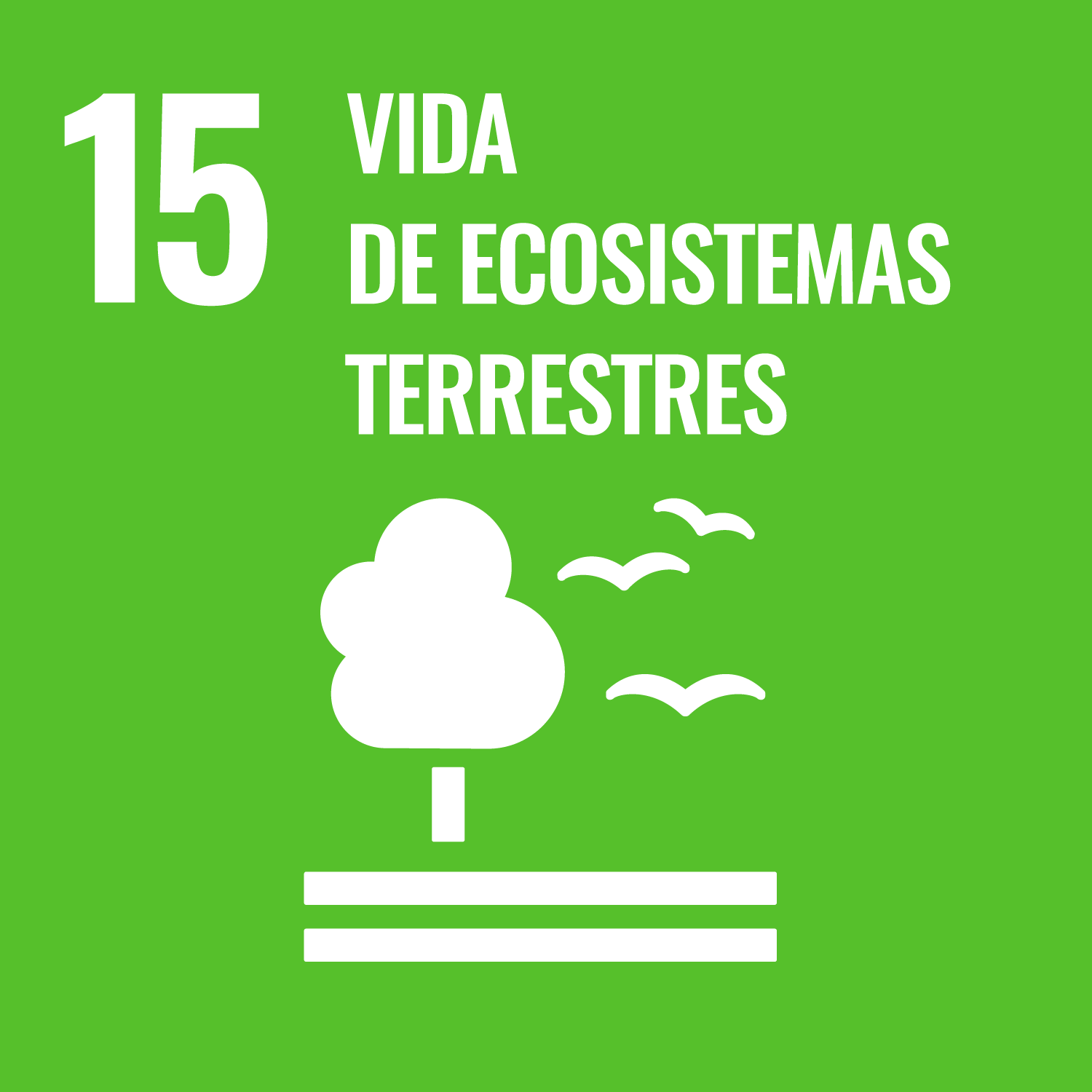 Objetivo de Desarrollo 'Vida de ecosistemas terrestres'